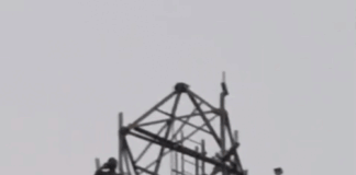 पत्नी को बुलाने की जिद में युवक टावर पर चढ़ा:महराजगंज पुलिस ने 2 घंटे की मशक्कत के बाद उतारा नीचे