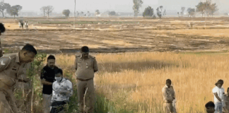 महराजगंज में मिला महिला का जला हुआ शव:डेड बॉडी जली होने के कारण नहीं हो सकी पहचान