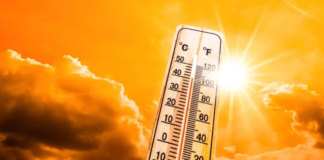 IMD ने 15 मई के लिए मुंबई, ठाणे और पालघर में लू का अलर्ट जारी किया।