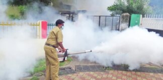 दक्षिण मुंबई में डेंगू और मलेरिया के सबसे ज़्यादा मामले