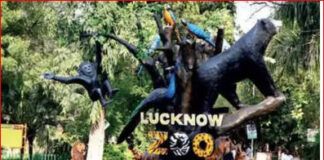 लखनऊ चिड़िया घर में वन्य जीवों व दर्शकों को गर्मी से बचाने की पूरी व्यवस्था