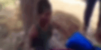 बच्चे को आम तोड़ने पर पेड़ से बांधकर मारा, VIDEO:महराजगंज में दंपति ने पीटा, पुलिस ने गिरफ्तार किया; फिर बाद में छोड़ा