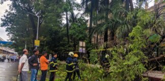 मुंबई – 33 हजार से ज़्यादा पेड़ों की कटाई