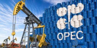 क्या OPEC और OPEC+ के बिखरने की शुरुआत हो गई, UAE ने किया अलग होने का एलान