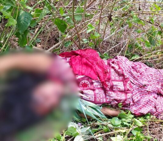 निचलौल में महिला का शव झाड़ियों में मिला:संदिग्ध परिस्थितियों में मिला, पुलिस पहचान में जुटी