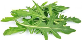 अरुगुला यानी रॉकेट लीफ अब आपके किचन गार्डन की शान
