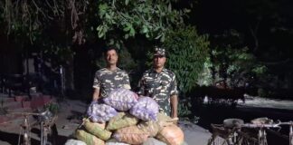 भारत-नेपाल सीमा पर 560 किलो चाइनीज लहसुन जब्त:एसएसबी और कस्टम ने संयुक्त कार्रवाई में की बरामदगी