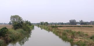 नहरों में पानी पहुंचा, धान की बीजों की तैयारी तेज:बढ़नी समेत 8 क्षेत्रों के किसानों को सिंचाई में मिली राहत