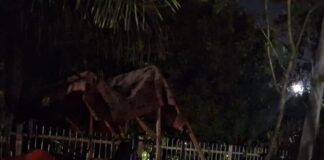 कैसरगंज में अवैध खनन पर प्रशासन सख्त:दो ट्रैक्टर, एक ट्रॉली और एक रेपर मशीन सीज