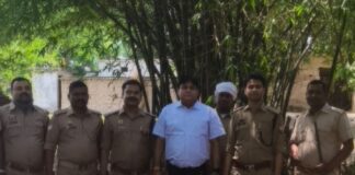 मिश्रौलिया में अवैध शराब के खिलाफ अभियान:65 लीटर कच्ची शराब और 250 किलो महुआ लहन जब्त