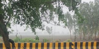 श्रावस्ती में बारिश से लोगों और किसानों को राहत:शुरू हुआ धान की बुआई का काम