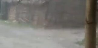 श्रावस्ती के इकौना में भीषण गर्मी से राहत:तेज हवाओं के साथ बारिश, मक्के की खेती को नुकसान