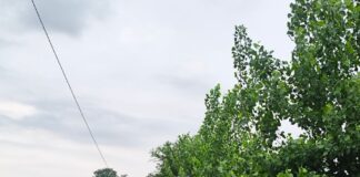 बहराइच में वेलहन महेशपुर सड़क जर्जर:बाबा बुद्धेश्वर नाथ मंदिर जाने वाले श्रद्धालुओं को आवागमन में दिक्कत
