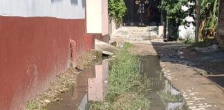 गांधीनगर वार्ड नंबर 16 की सड़क बनी मुसीबत:गड्ढों से राहगीर परेशान, बारिश में बढ़ जाएगी दिक्कत