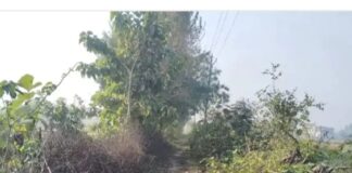 कंजड़वा में खेत तक जाने वाला मार्ग जर्जर:राहगीरों और किसानों को आवागमन में भारी परेशानी, दुर्घटना का डर