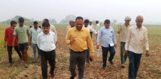 गन्ना प्रजाति पर विशेष ध्यान दें फील्ड सुपरवाइजर – डॉ० जेपी त्रिपाठी