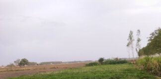 साउघाट में आंधी-तूफान से शादी के टेंट गिरे:रात में हुई तेज बारिश से जनजीवन प्रभावित, गर्मी से राहत