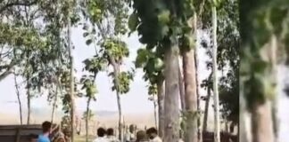 सिरसिया में जमीन विवाद पर बढ़ा तनाव:लाठी-डंडों के साथ पहुंचे लोग, पुलिस सूचना से टला संघर्ष