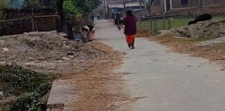 दुर्गवालिया में रेलिंग विहीन पुलिया:ग्रामीणों-राहगीरों को हादसे का डर, मरम्मत की मांग
