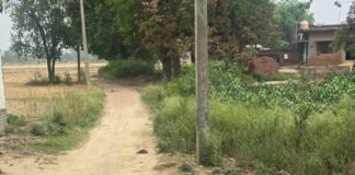 चंद्रशेखर वार्ड में सड़कें जर्जर, जलभराव से लोग परेशान:मंदिर के पास कचरे का अंबार, प्रशासन पर अनदेखी का आरोप