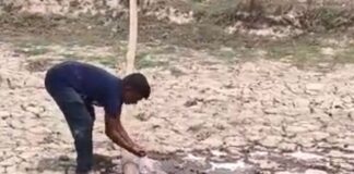 आवारा पशुओं के लिए तालाब में भरा जा रहा पानी:बेहिल में ग्रामीण निजी साधनों से भर रहे पानी
