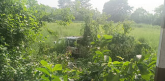 तेज रफ्तार स्कॉर्पियो ने बाइक सवारों को रौंदा, दो युवकों की मौत