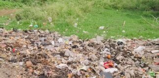 गिलौला में गायत्री नगर गली में कूड़े का अंबार:स्थानीय लोगों का जीना मुश्किल, बीमारियों का खतरा