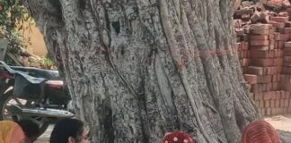 रामरेखा मंदिर में वट सावित्री व्रत:सुहागिन महिलाओं ने पति की दीर्घायु की कामना की