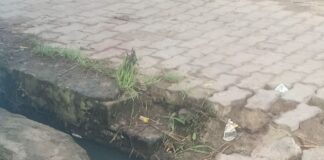 श्रावस्ती के दिकौली में खुली नालियां:स्थानीय निवासियों को गंदगी और बीमारियों का खतरा