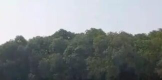 संरक्षित तालाब में जहरीले पदार्थ से मछलियों का शिकार:ग्रामीणों ने वन विभाग की कार्यप्रणाली पर उठाए सवाल, जांच की मांग