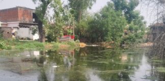 गंदे पानी के जमाव से बीमारी का खतरा:पिपरा के ग्रामीणों ने पक्का नाला निर्माण की मांग की