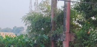 श्रावस्ती के गिलौला सीएचसी में गंदगी, अव्यवस्था:10 साल से टूटी बाउंड्री वॉल, आवारा पशुओं से मरीजों को खतरा