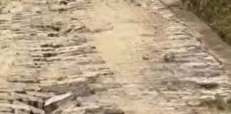 भारत भारी में पाइपलाइन से इंटरलॉकिंग सड़क क्षतिग्रस्त:ग्रामीणों का पैदल चलना मुश्किल, जल्द मरम्मत का आश्वासन
