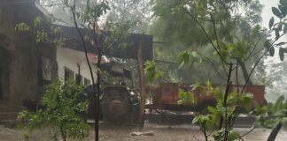 बस्ती में ओलावृष्टि से सब्जियों की फसलें प्रभावित:किसानों ने प्रशासन से मुआवजे की मांग की