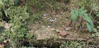 टिकर गांव में महीनों से नालियों की सफाई नहीं:मिठौरा ब्लॉक में गंदगी और दुर्गंध से ग्रामीण परेशान