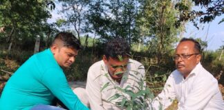 विशेश्वरगंज में मोतीलाल नेहरू जयंती पर पौधरोपण:कांग्रेस कार्यकर्ताओं ने पर्यावरण संरक्षण का संकल्प लिया