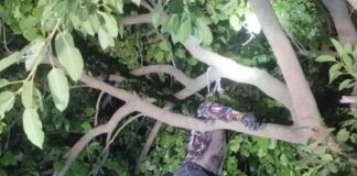 बहराइच में युवक का पेड़ से लटकता शव मिला:भाजपा विधायक पहुंचीं मृतक के घर, 5 लोगों पर मुकदमा दर्ज