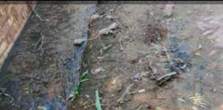 भीटा राम सेन बस्ती में नाली जाम:गंदगी से बीमारियों का खतरा, कई दिनों से नहीं हुई सफाई
