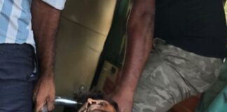 बस्ती-अयोध्या हाईवे पर ट्रक ने बाइक को मारी टक्कर:युवती की मौत, भाई गंभीर रूप से घायल