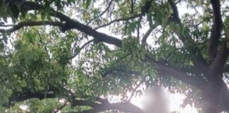 पटहरनपुरवा दाखिला चंदनपुर में युवक ने आत्महत्या की:बाराबंकी के भट्टा मालिक पर बकाया भुगतान न करने का आरोप