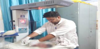 ममता शर्मसार: कांटों में तड़पता मिला नवजात, सिसकियों ने बचाई जान