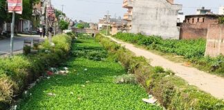 नहर में फेंका जा रहा घरों का कचरा:नौतनवा में गंदगी से बढ़ रहा संक्रमण का खतरा