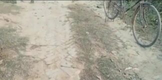 इकौना में मध्यनगर मनोहरपुर-सत्या भट्ठा नहर मार्ग जर्जर:आवागमन में परेशानी, बुजुर्ग-बच्चों को चोटें लग रहीं