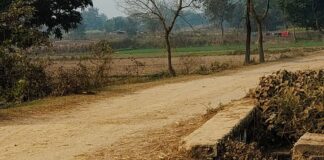 निचलौल के गुरली के पास पुलिया की रेलिंग टूटी:ग्रामीणों और राहगीरों को आवागमन में हो रही परेशानी, मरम्मत की मांग