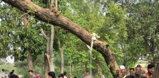 बौंडी में 42 वर्षीय व्यक्ति का शव मिला:संदिग्ध हालात में पेड़ से लटका मिला, पुलिस जांच में जुटी