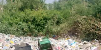 आनंदनगर नगर पंचायत सफाई में फिसड्डी, हर जगह कूड़े का:सरकारी धन का दुरुपयोग, बीमारियों का खतरा बढ़ा