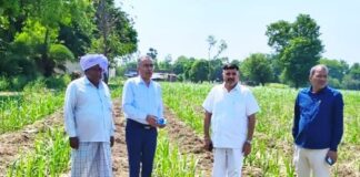 सिसवा में गन्ना सर्वे की हुई जांच:उपगन्ना आयुक्त, आईपीएल शुगर मिल व समिति के अधिकारी रहे मौजूद
