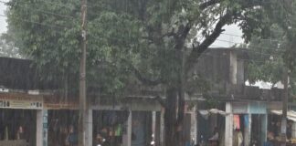 पनियरा में तेज आंधी-बारिश से मौसम सुहाना:लेकिन किसानों की बढ़ी चिंता; प्याज व सब्जी फसलों पर खतरा