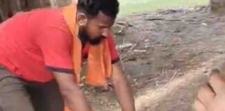 मिठौरा में सारस हाई वोल्टेज तार की चपेट में आया:गंभीर रूप से झुलसा, वन विभाग ने किया रेस्क्यू