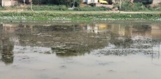 सिद्धार्थनगर में पंपसेट से सुखाया जा रहा तालाब:ग्रामीणों ने उपजिलाधिकारी से की तत्काल कार्रवाई की मांग की